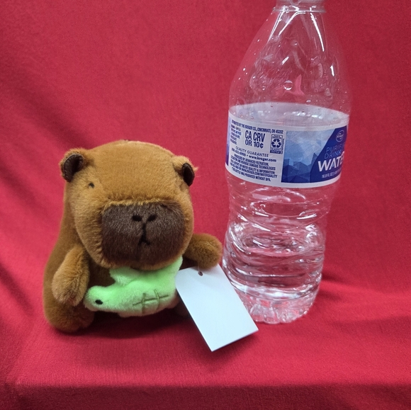 Capibara - Picture 5 of 5